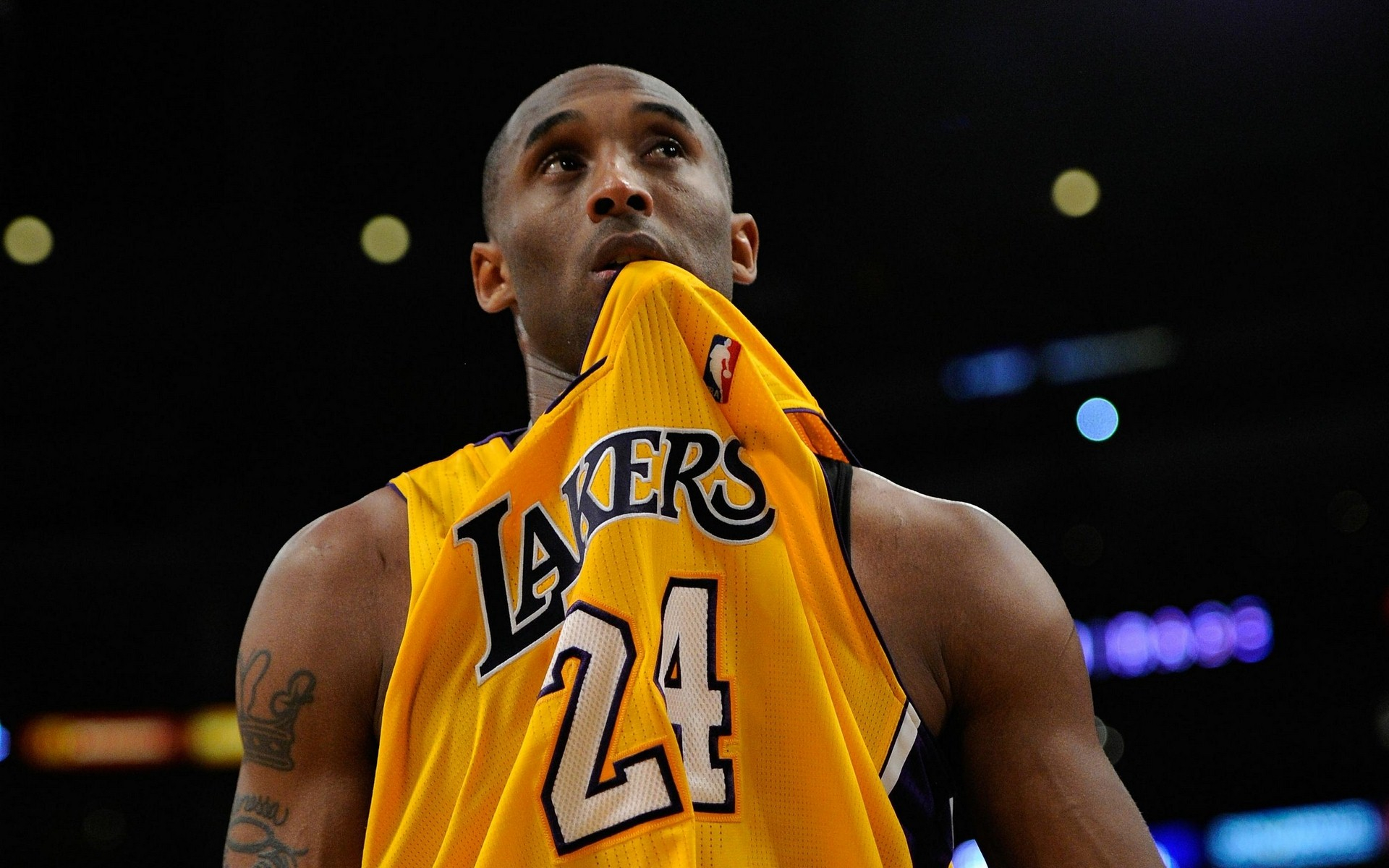 给波鸿创造 给波鸿创造