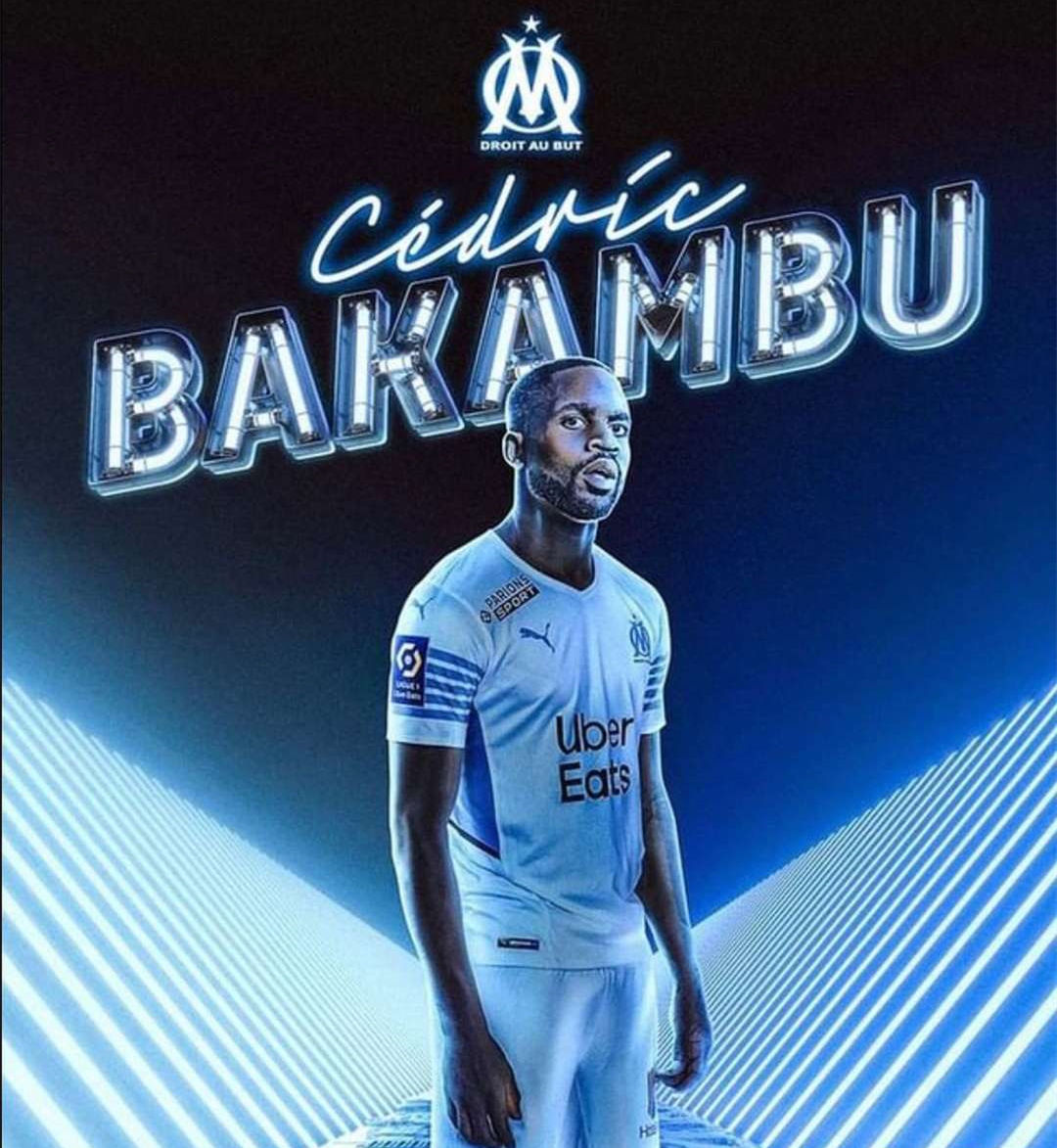 它提供了一 它提供了一